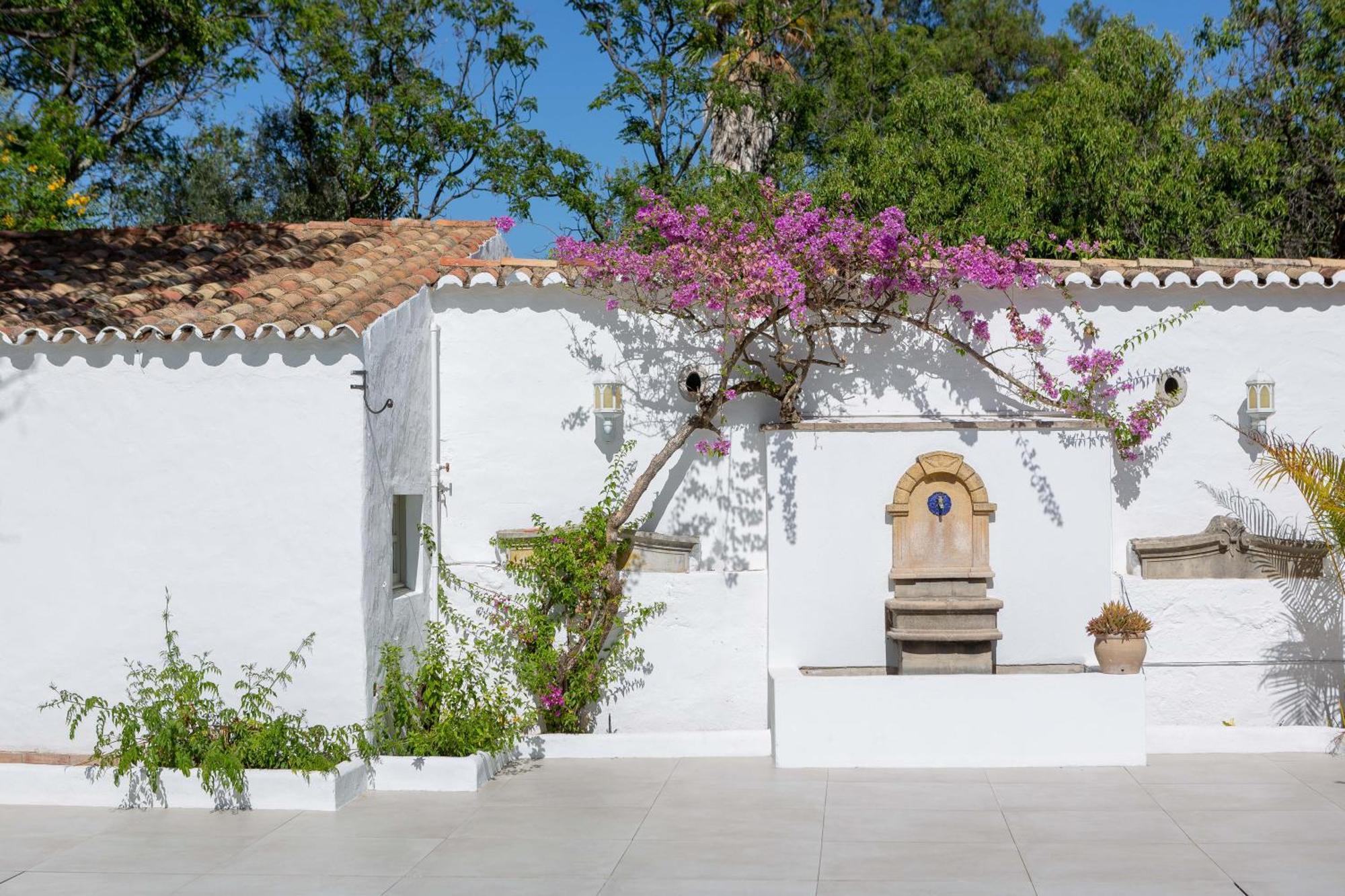 Amago Guesthouse Santa Bárbara de Nexe Dış mekan fotoğraf