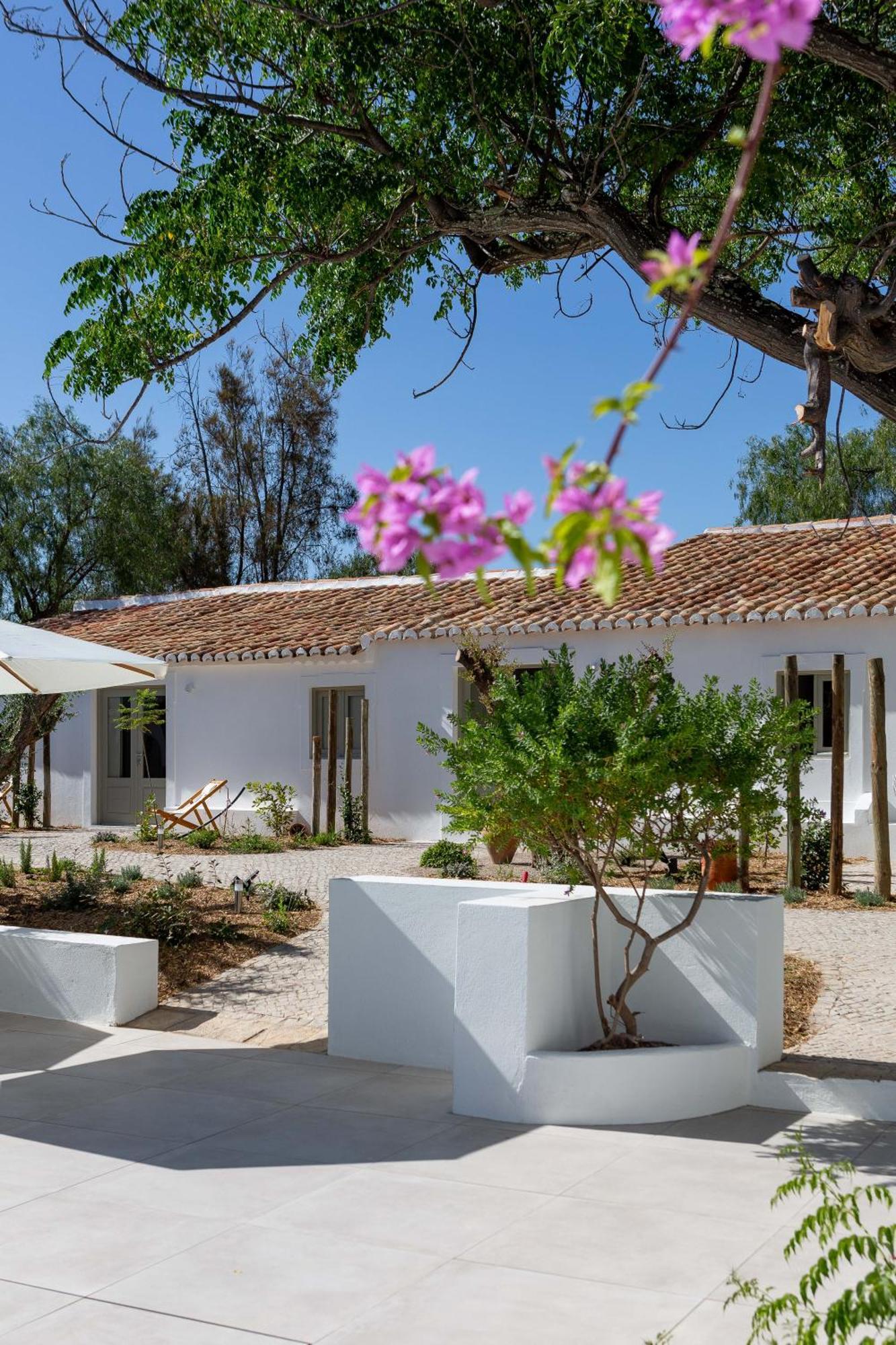 Amago Guesthouse Santa Bárbara de Nexe Dış mekan fotoğraf